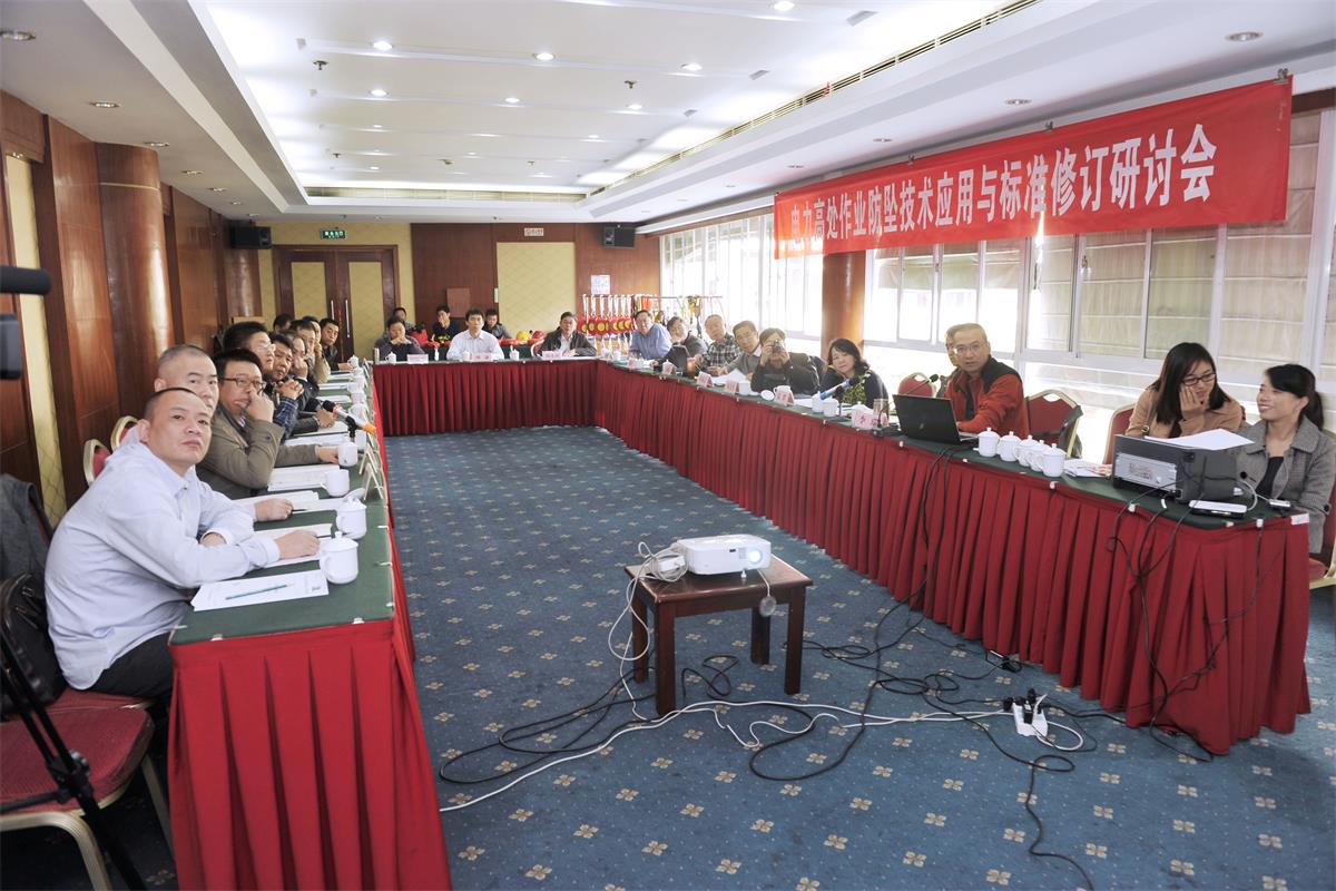 防坠技术标准研讨会议.JPG