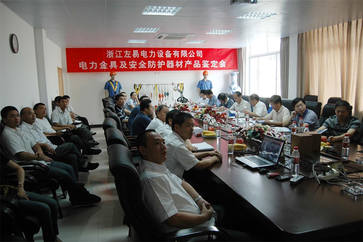 电力金具及安全防护产品鉴定会议.JPG