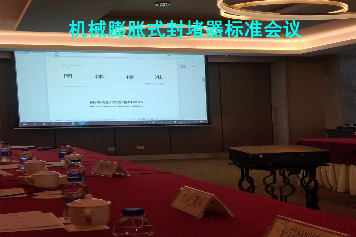 新机械膨胀式封堵器标准会议.jpg