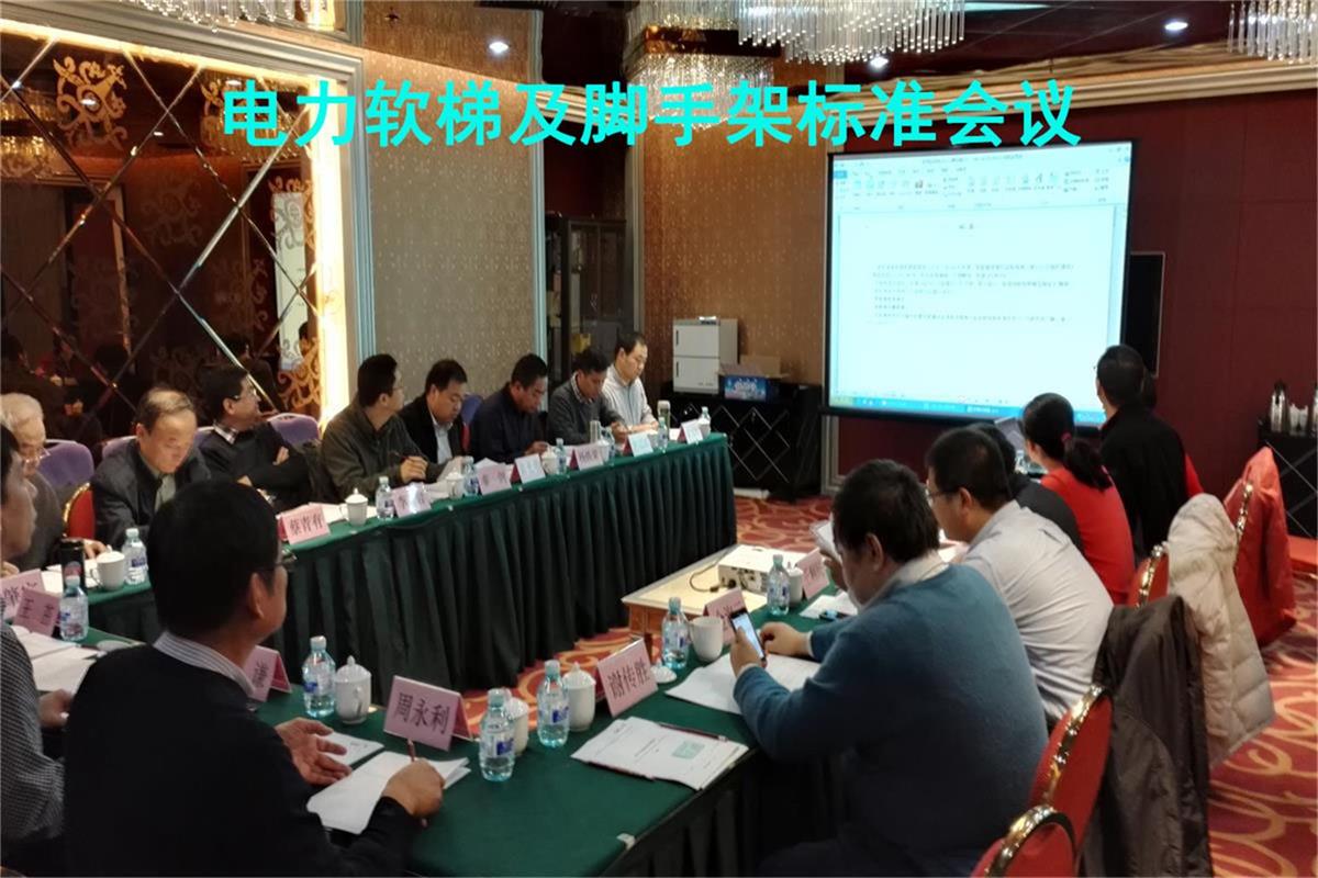 新电力软梯及脚手架标准研讨会议.jpg