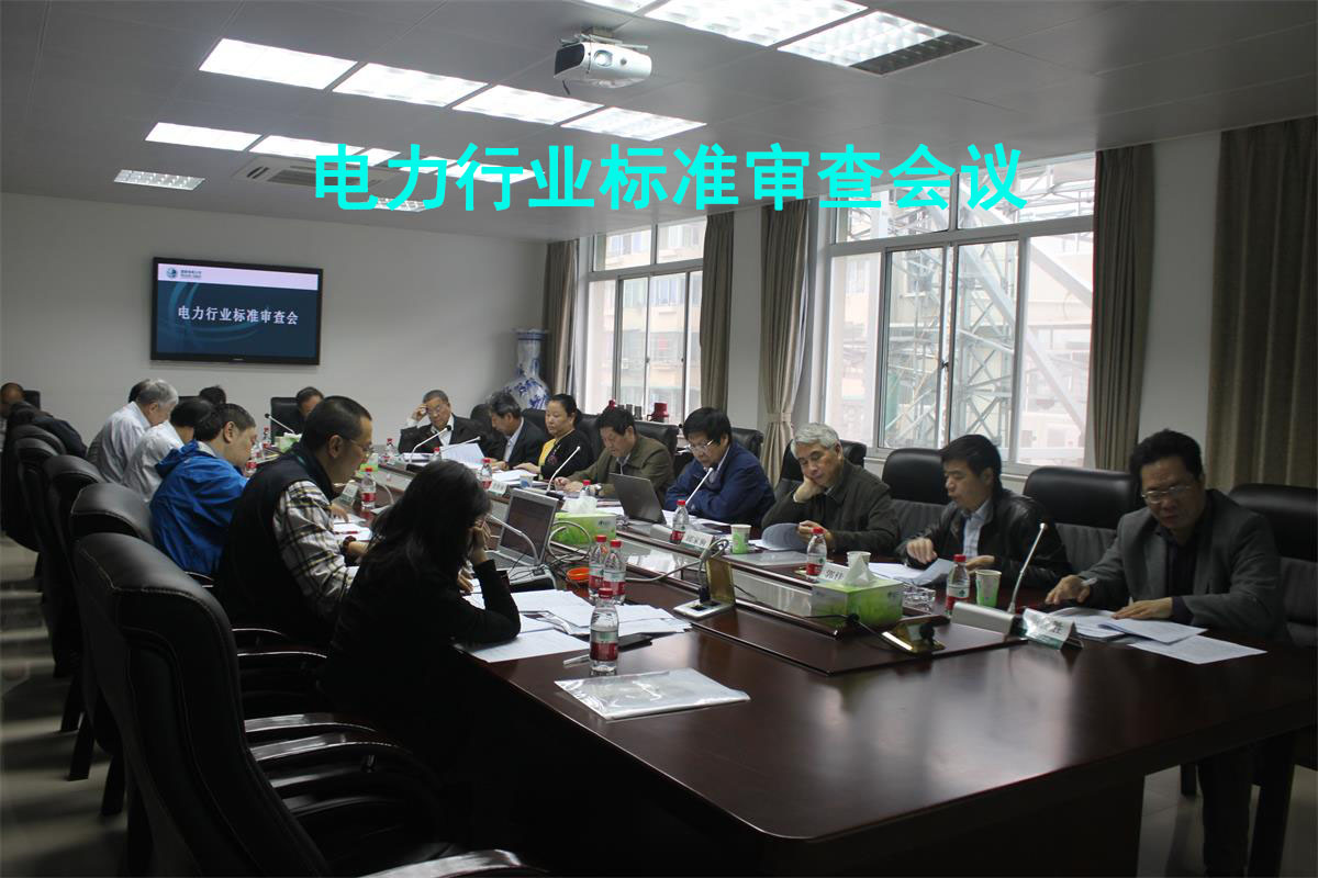 新电力行业标准审查会议.jpg