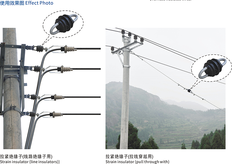 详情3.jpg